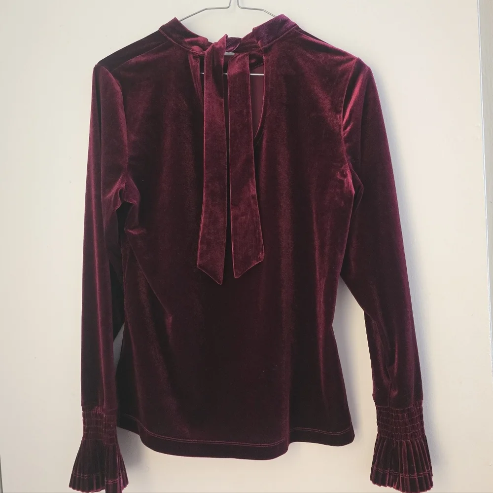 Molly Bracken Elegant Velvet Red Top - Picture 7 of 10